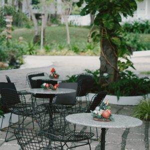 Solar Garden Light